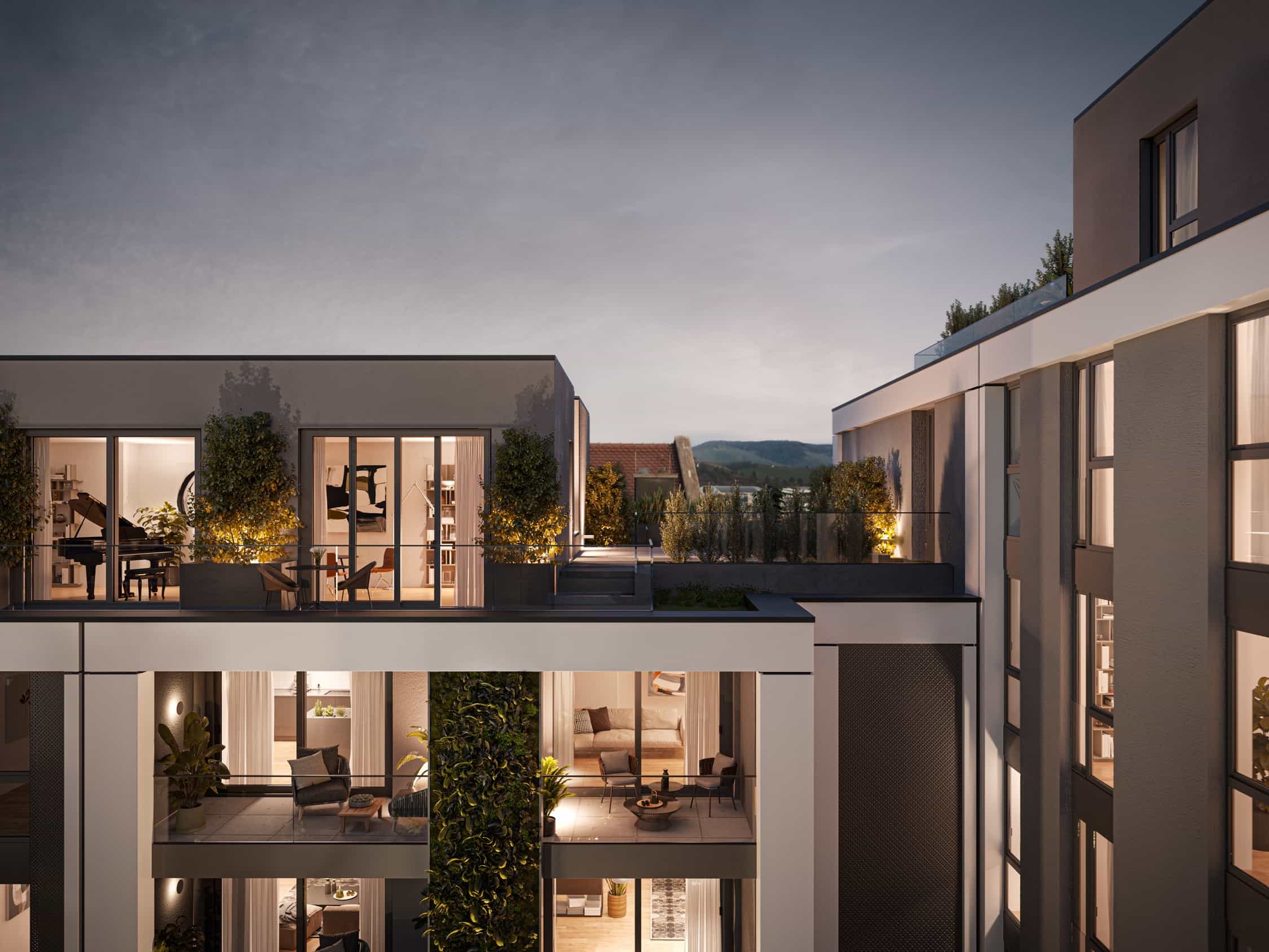 Project gallery image