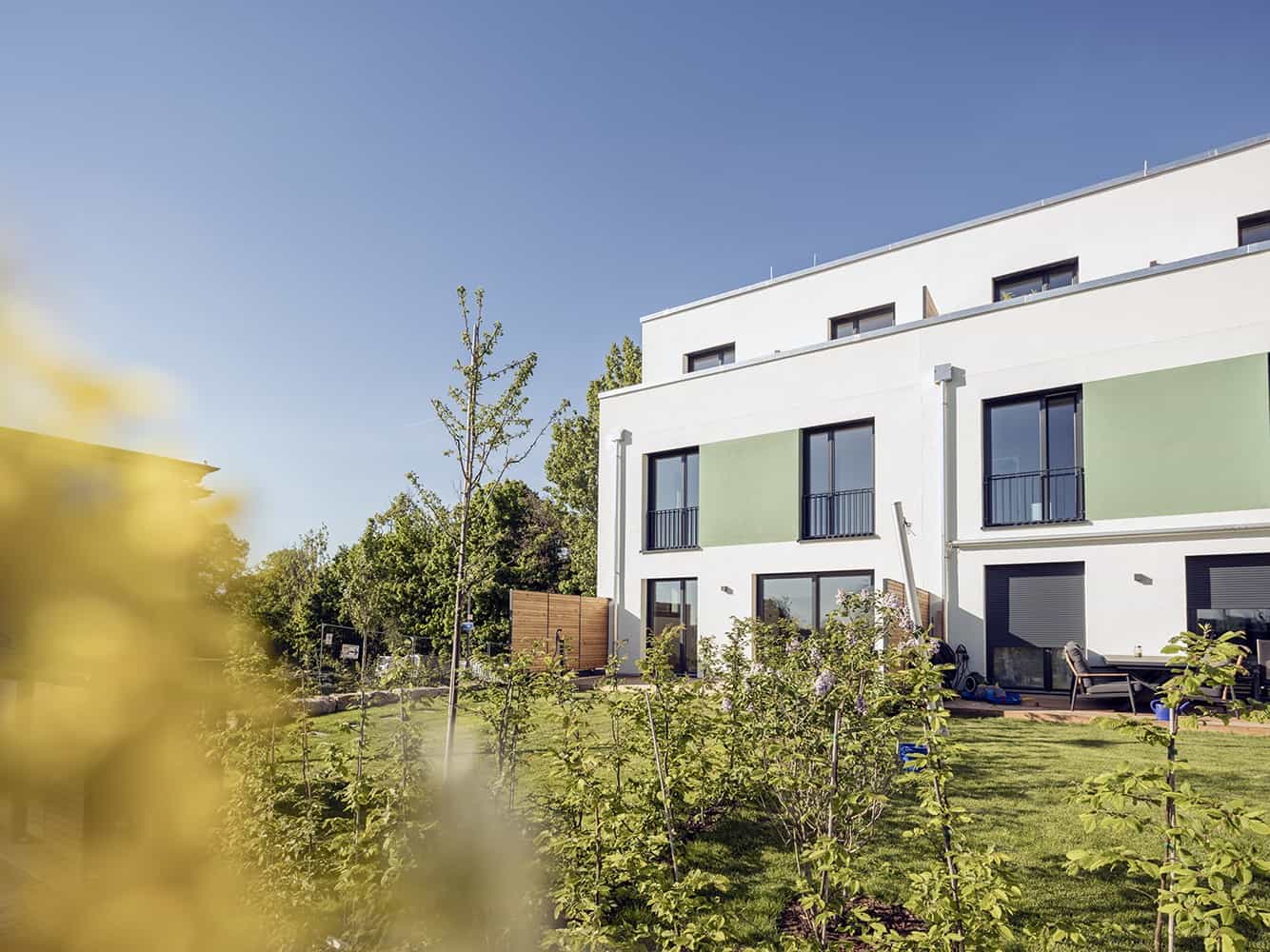 Project gallery image