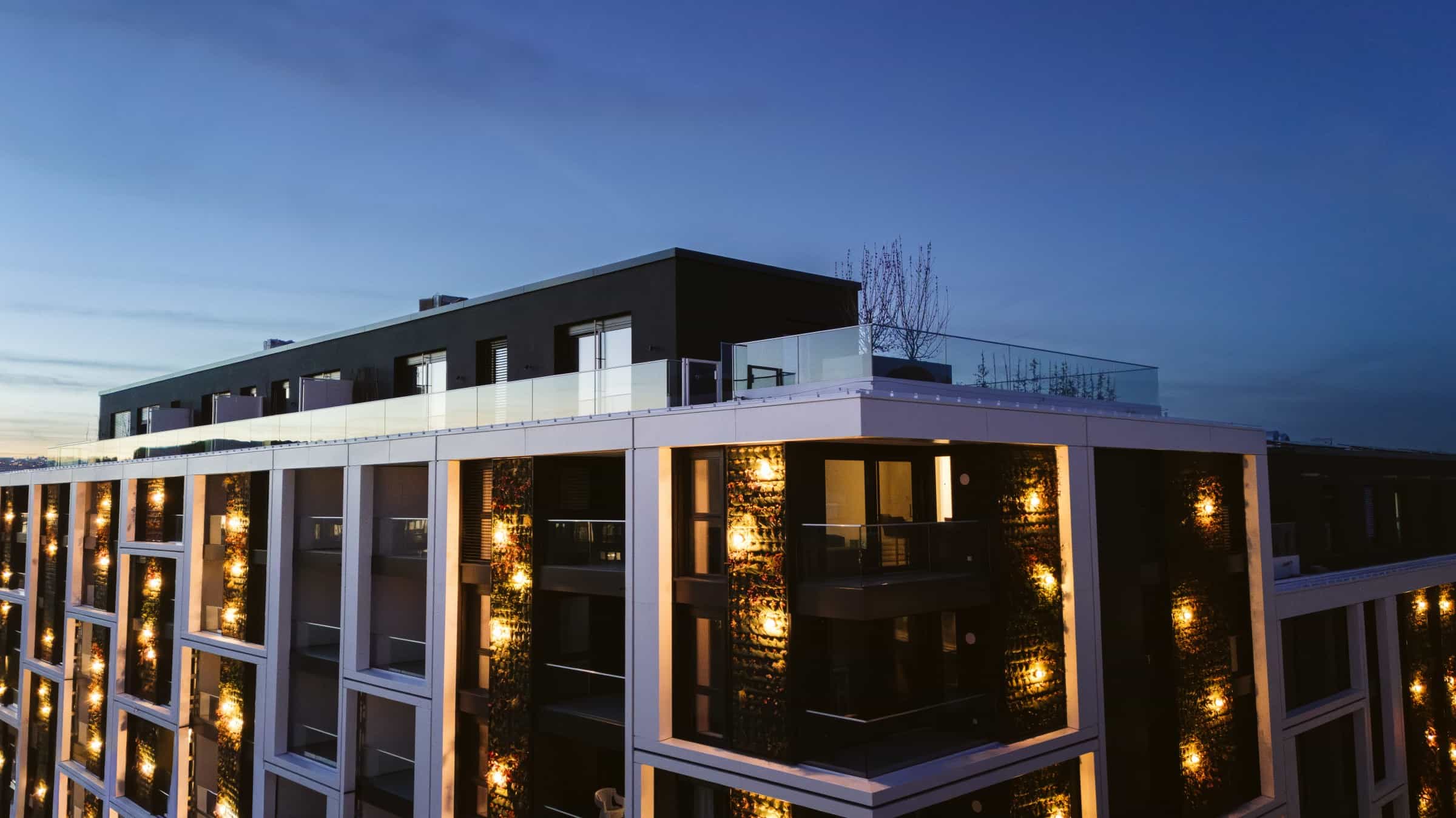 Project gallery image