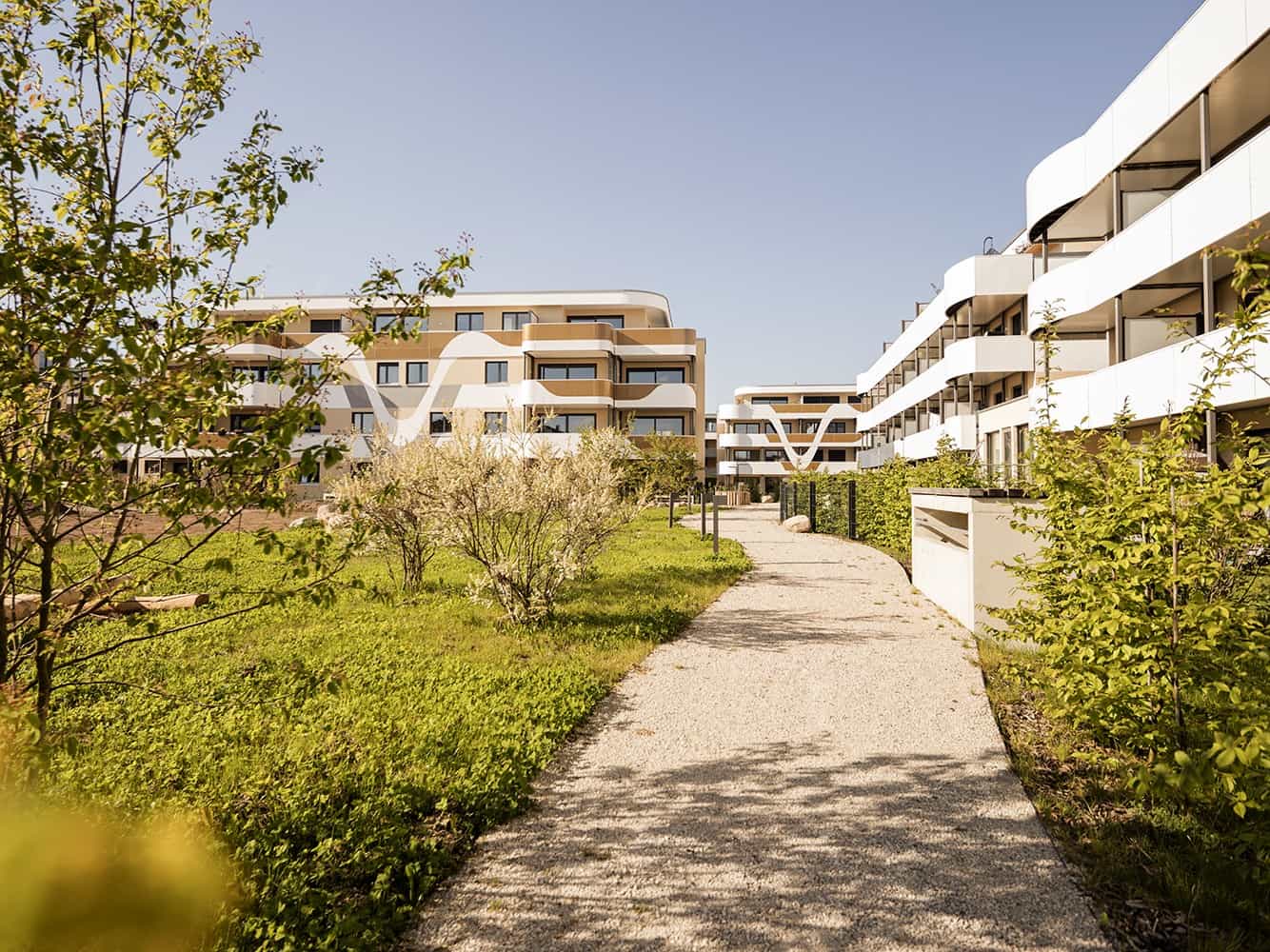 Project gallery image